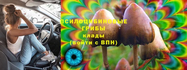 соль ск Аркадак