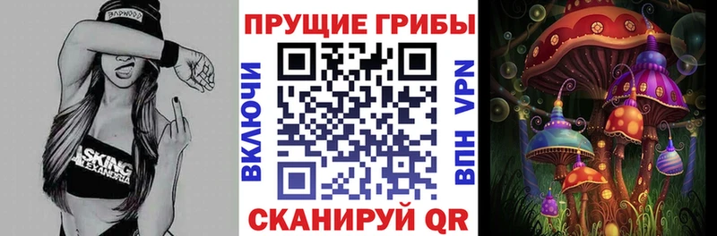 даркнет сайт мега зеркало Псилоцибиновые грибы Cubensis Сясьстрой