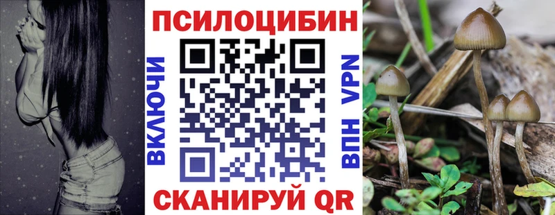 Галлюциногенные грибы мицелий Сясьстрой